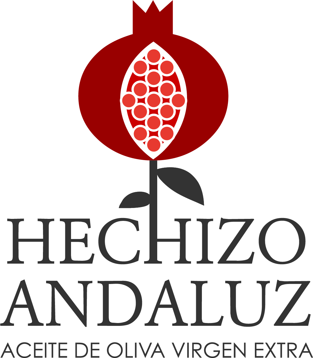 Logo Hechizo Andaluz - Sabor Granada