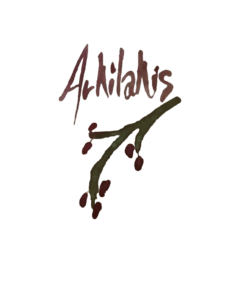 Logo Arkilakis reducido - Sabor Granada
