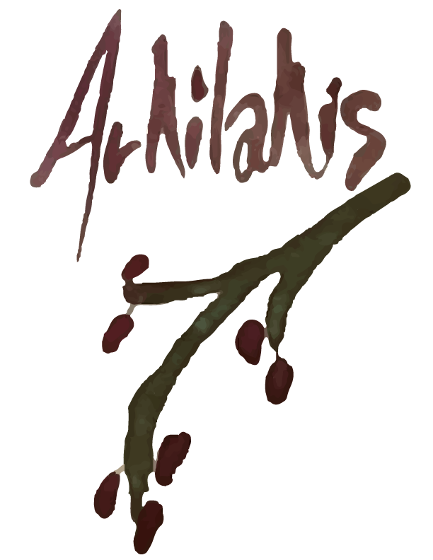 Logo Arkilakis - Sabor Granada