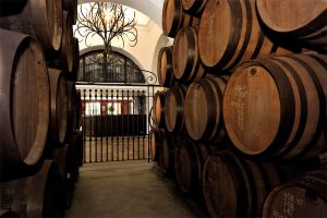 Interior de las bodegas de Ron Montero - Sabor Granada