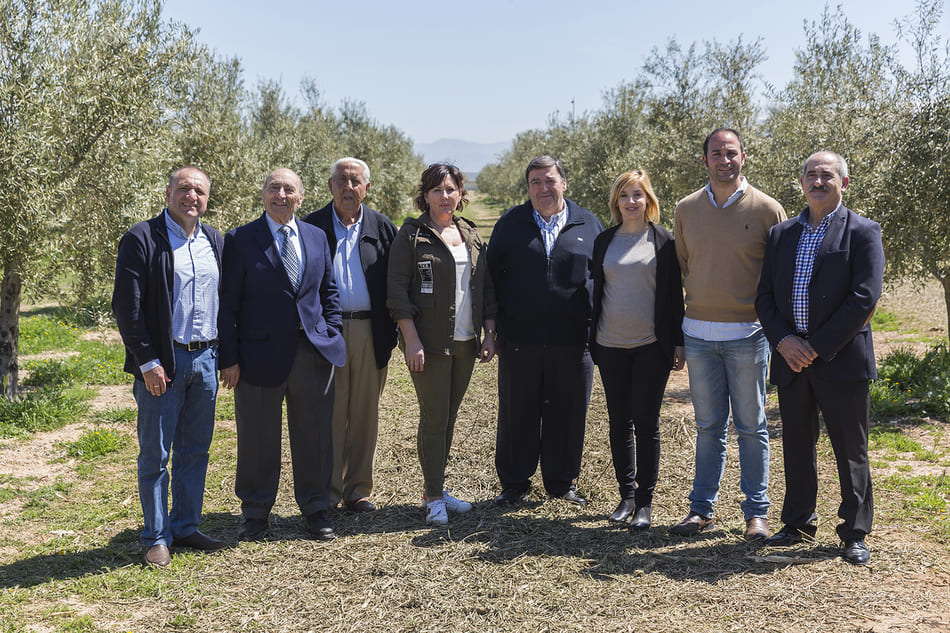 Premiados por sus aceites en 2018 en el olivar - Sabor Granada