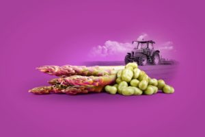 Creatividad de espárragos. Productos comercializados en Granada Sabores. - Sabor Granada