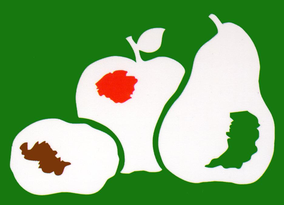 Logotipo Patatas Eduardo Sanz - Sabor Granada