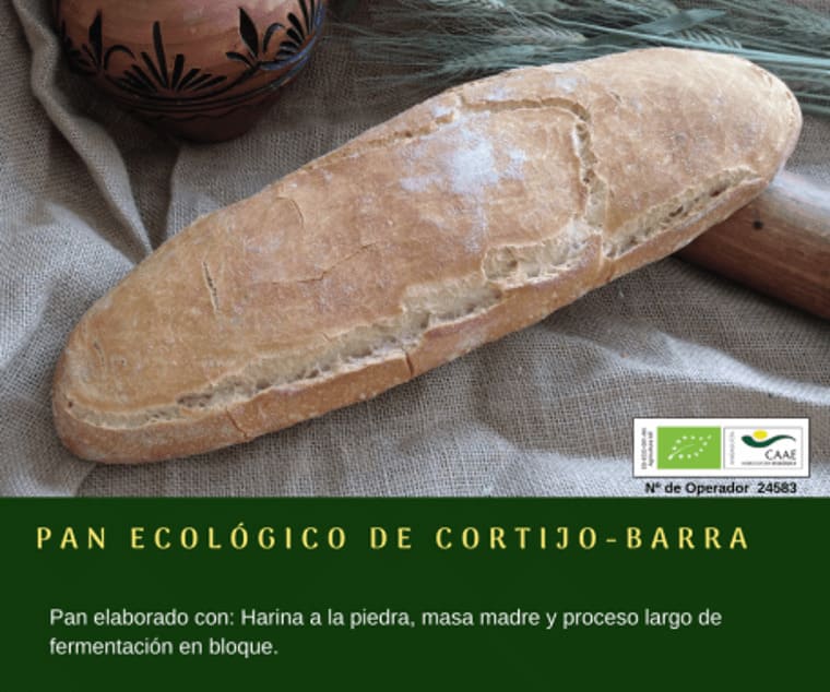 Pan ecológico de cortijo en barra de Panadería Gerardo - Sabor Granada