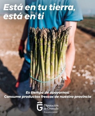 Banner de la campaña de productos frescos Sabor Granada con la imagen de espárragos